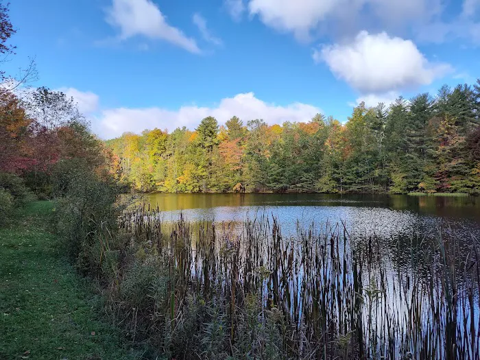 Aspen Campground Picture 2