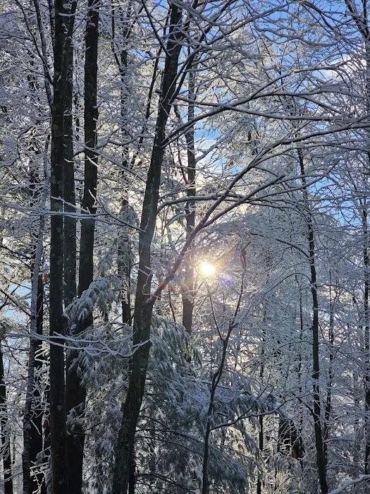 Aspen Campground Picture 10