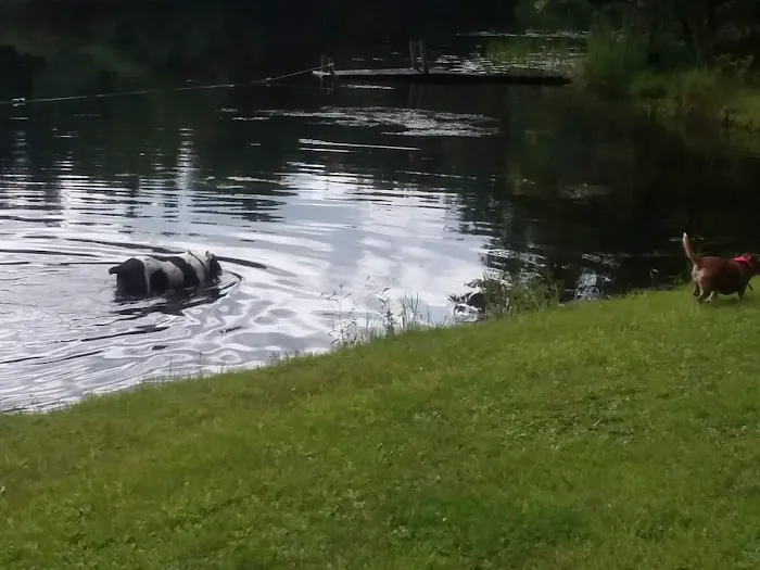 Aspen Campground Picture 4