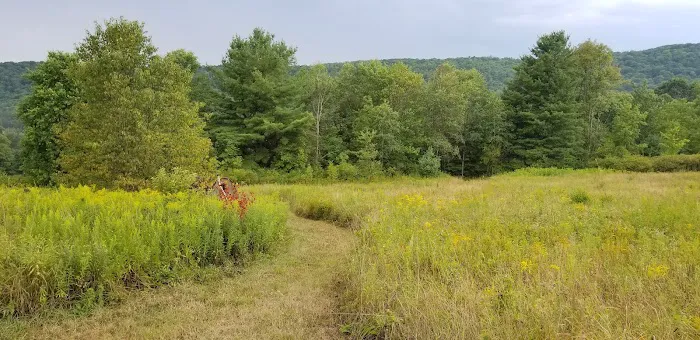 Rune Hill Sanctuary Picture 2