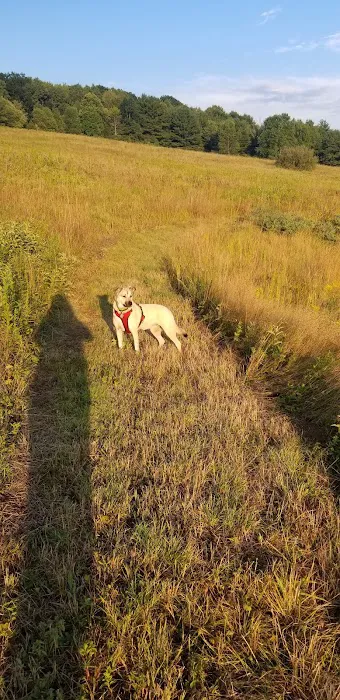 Rune Hill Sanctuary Picture 4