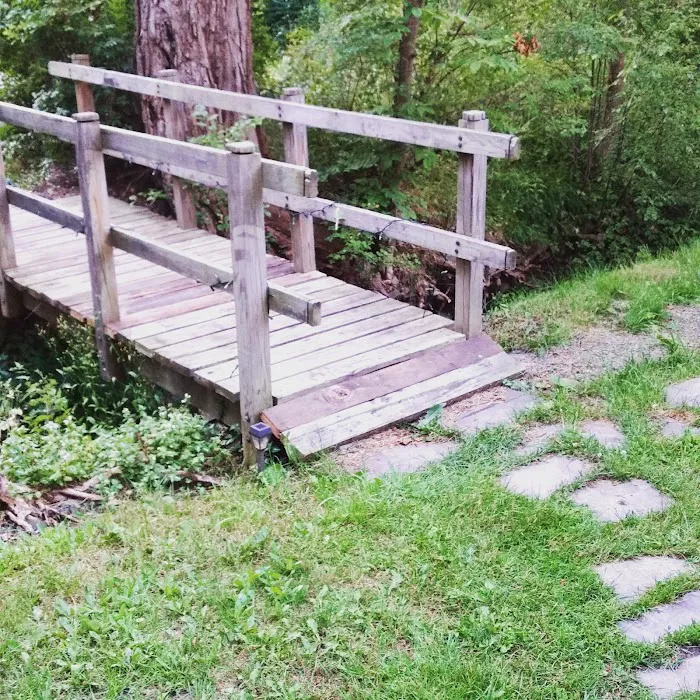 Rune Hill Sanctuary Picture 7