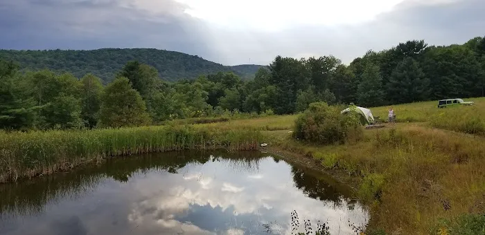 Rune Hill Sanctuary Picture 3