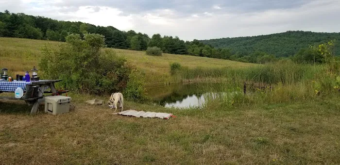 Rune Hill Sanctuary Picture 5