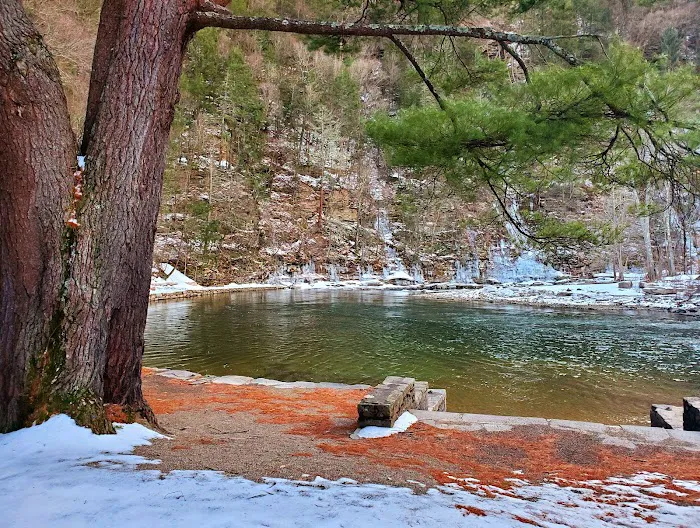 World's End State Park Family Campground Picture 8