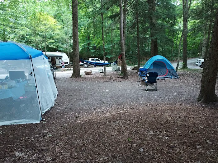 World's End State Park Family Campground Picture 4