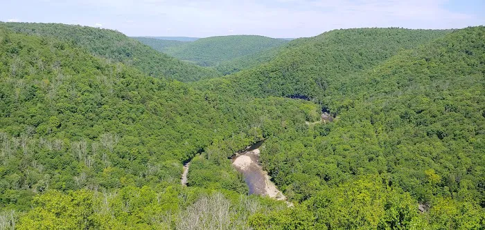 World's End State Park Family Campground Picture 2