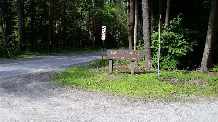 World's End State Park Family Campground Picture 3