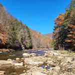 World's End State Park Family Campground