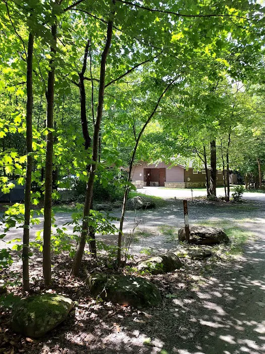 World's End State Park Family Campground Picture 6