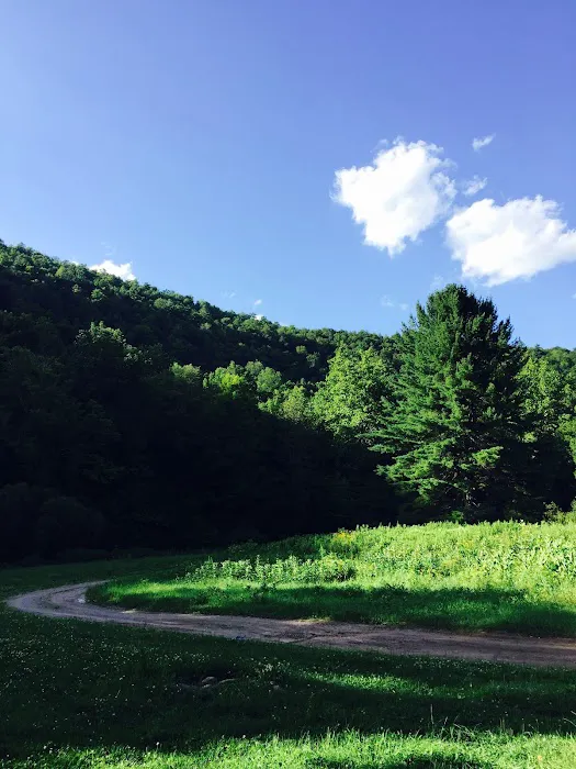 Almost Heaven Campground Picture 7