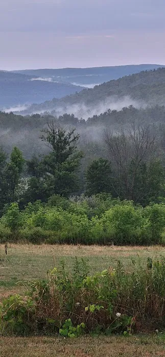 Gardner Hill Campground Picture 2