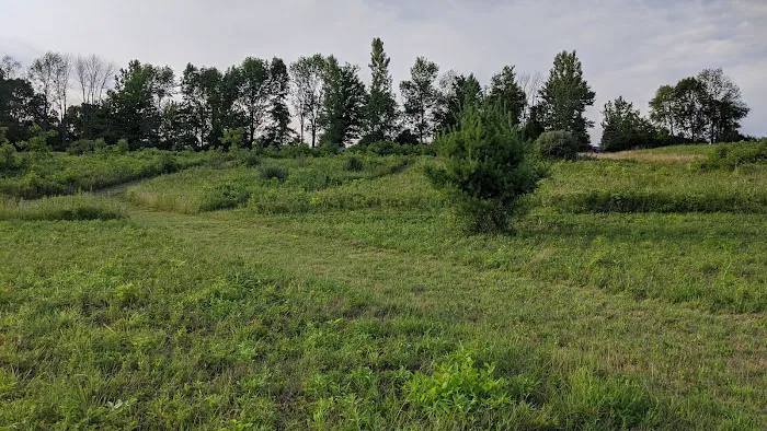 Gardner Hill Campground Picture 9