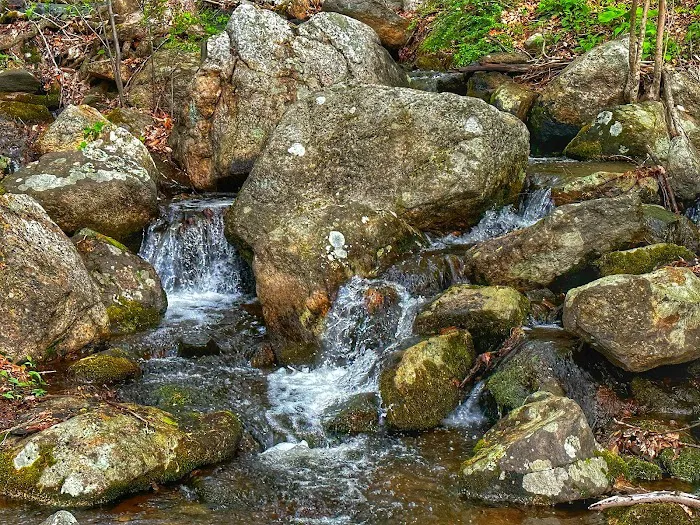 Hurd State Park River Camp Picture 7