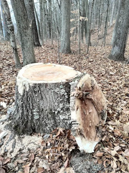 Hurd State Park River Camp Picture 9