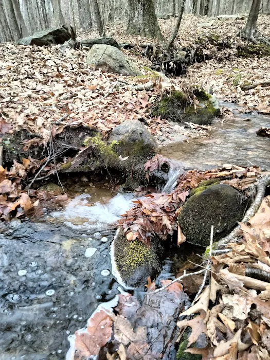 Hurd State Park River Camp Picture 5