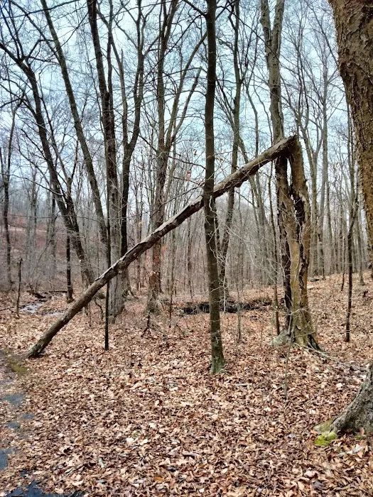 Hurd State Park River Camp Picture 3