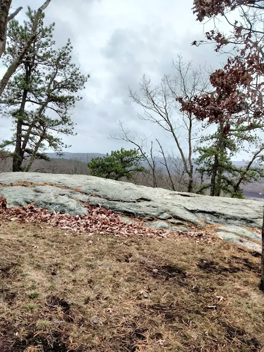 Hurd State Park River Camp Picture 2
