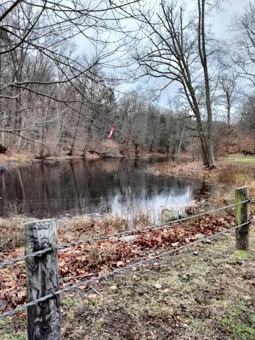Hurd State Park River Camp Picture 10