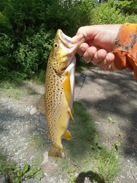 Aqua Vista Valley Campgrounds Picture 10