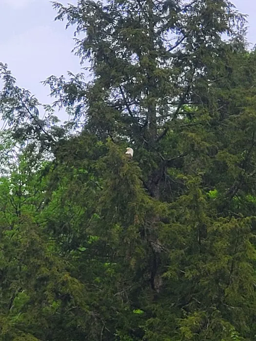 Aqua Vista Valley Campgrounds Picture 1