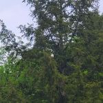 Aqua Vista Valley Campgrounds