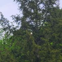 Aqua Vista Valley Campgrounds ico