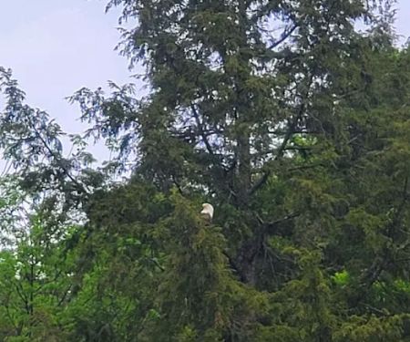 Aqua Vista Valley Campgrounds