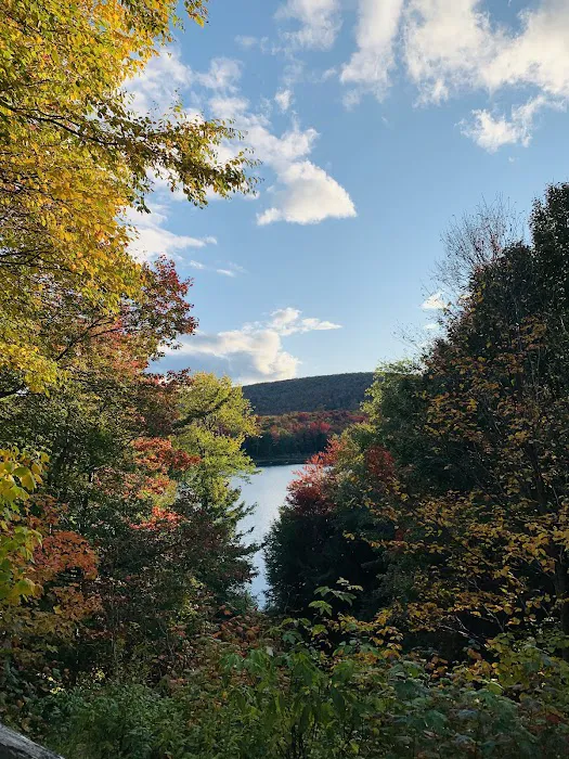 Savoy Mountain State Forest Campground Picture 8