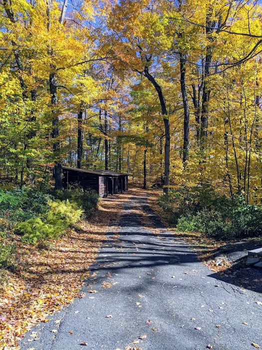Savoy Mountain State Forest Campground Picture 9