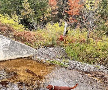 Savoy Mountain State Forest Campground