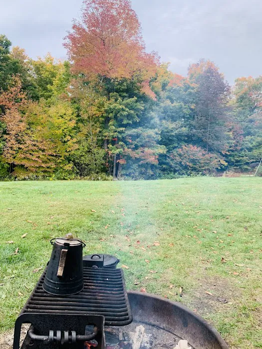 Savoy Mountain State Forest Campground Picture 3