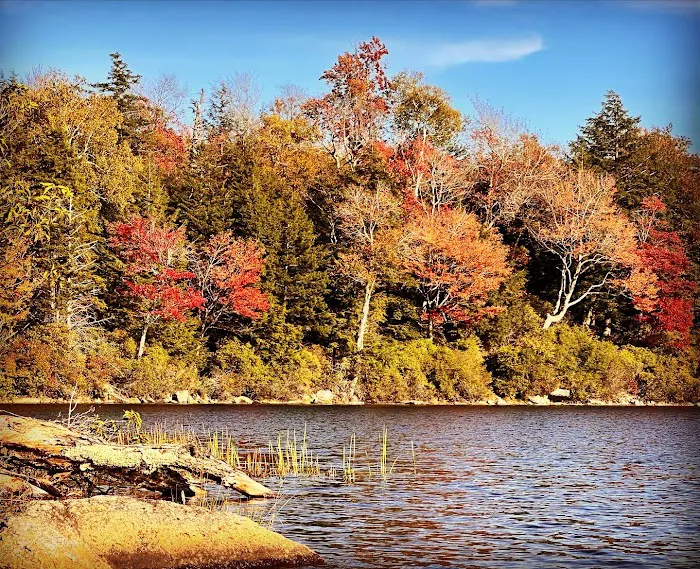 Savoy Mountain State Forest Campground Picture 10