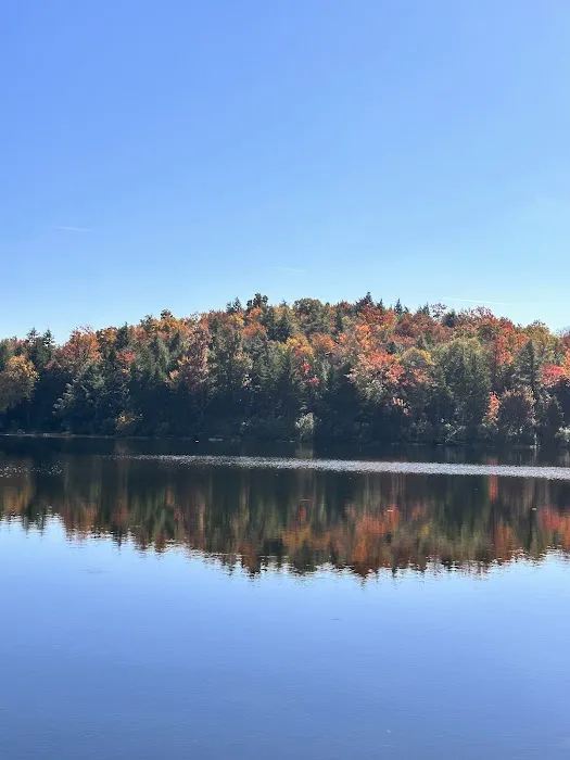 Savoy Mountain State Forest Campground Picture 4