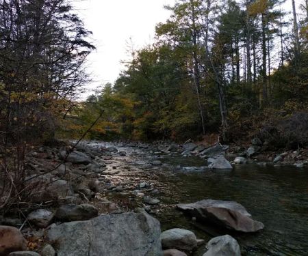 Mass Commonwealth-Environ