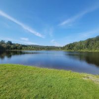 Greenwood Lodge & Campsites ico