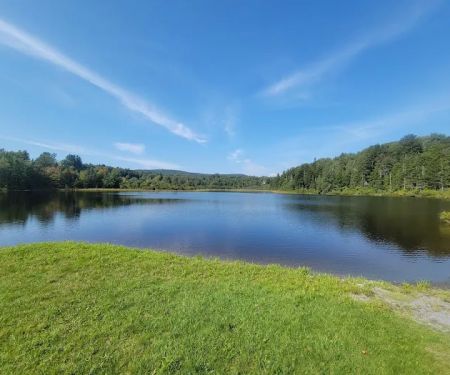 Greenwood Lodge & Campsites