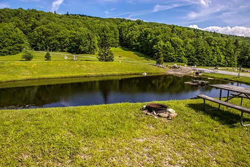 Greenwood Lodge & Campsites Picture 3