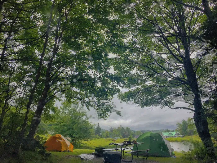 Greenwood Lodge & Campsites Picture 5