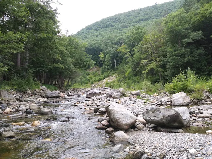 Mohawk Trail Campground HQ Picture 2
