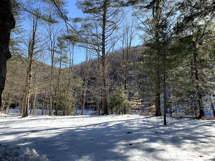 Mohawk Trail Campground HQ Picture 10