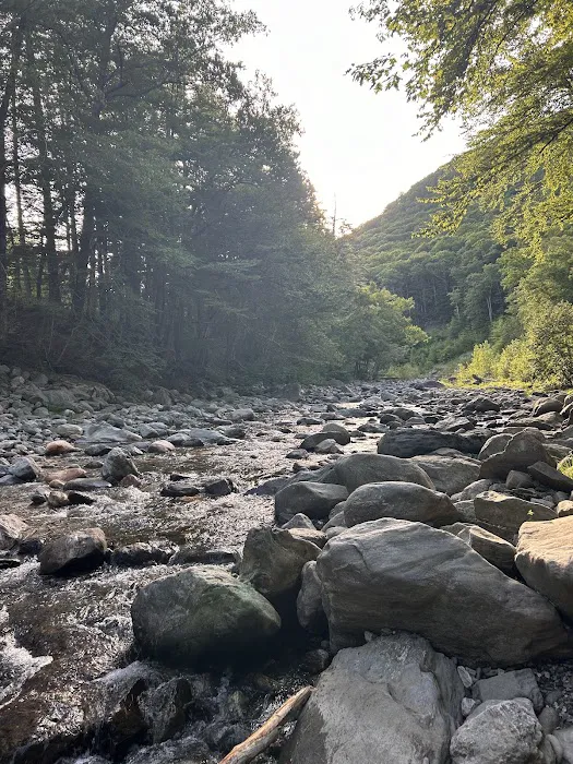 Mohawk Trail Campground HQ Picture 9