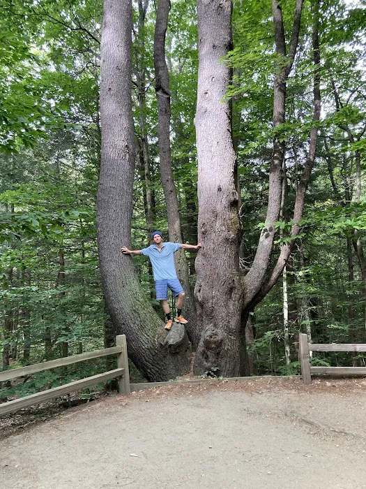 DAR Campgrounds Picture 6