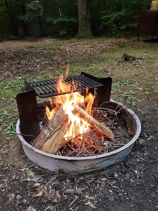 DAR Campgrounds Picture 3