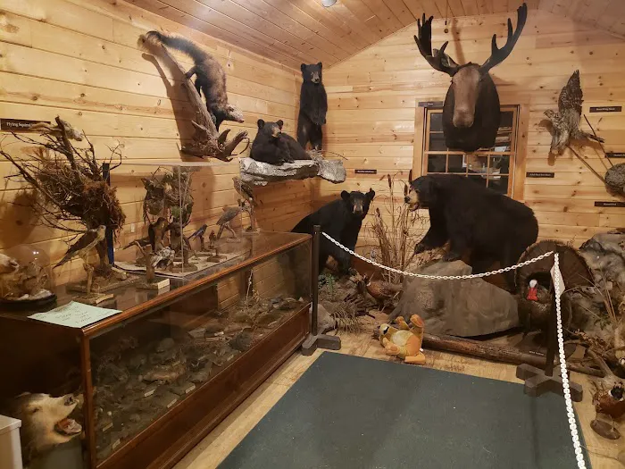 DAR Campgrounds Picture 7