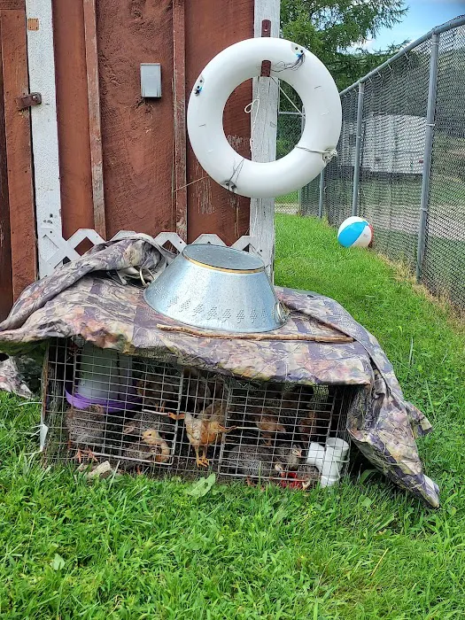 White Birch Campground Picture 3