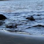 Gillette Castle State Park River Campground