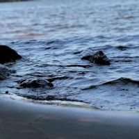 Gillette Castle State Park River Campground ico