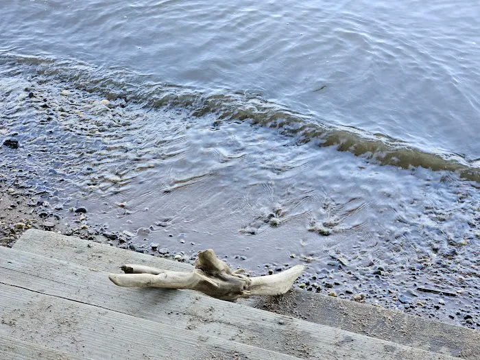 Camp Bethel Picture 4