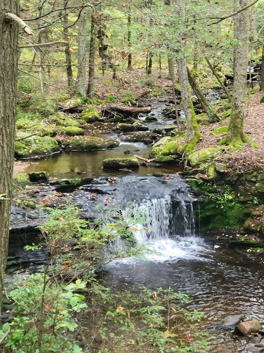 Devil’s Hopyard State Park Campground Picture 1